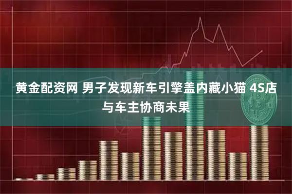 黄金配资网 男子发现新车引擎盖内藏小猫 4S店与车主协商未果